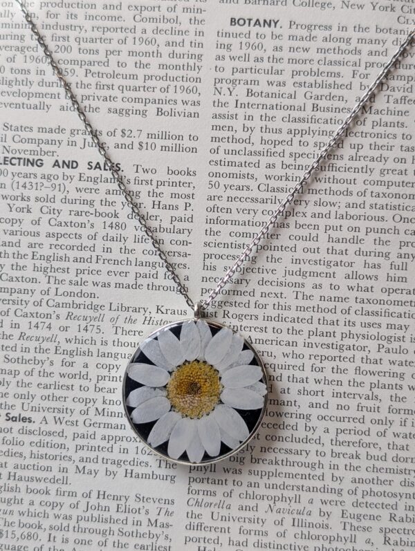 oxeye daisy necklace round