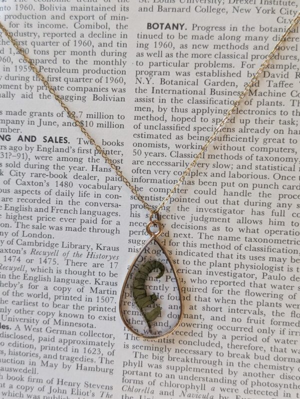 Teardrop Fiddlehead Fern Frond Necklace - Image 6