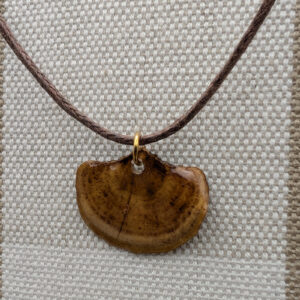 Turkey Tail Pendant