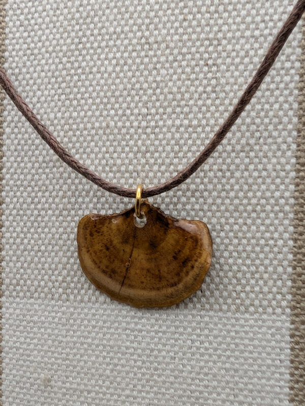 Turkey Tail Pendant