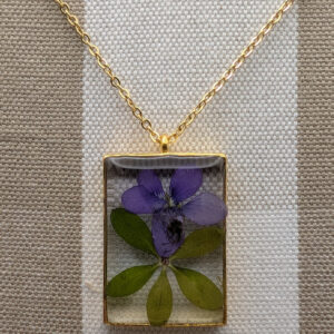 Wild Violet and Cleaver Leaf