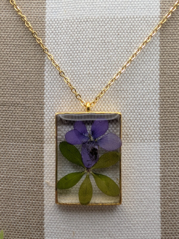 Wild Violet and Cleaver Leaf